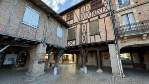 Traitement punaises de lit Caluire-et-Cuire